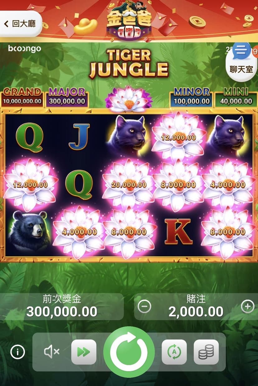 金爸爸遊戲內BNG電子的【叢林之王】